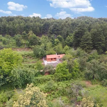 Pine Forest 1400m, Cinema&fireplace * Artemisía