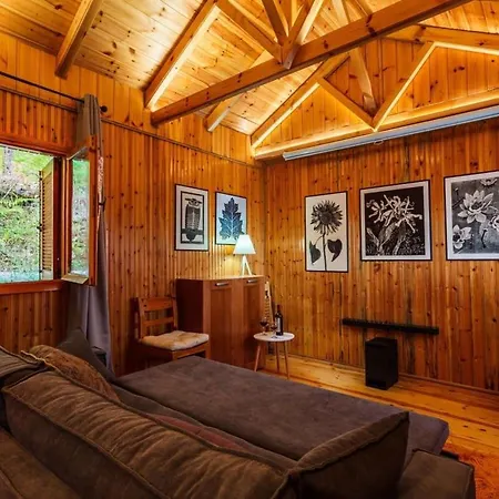 Stone Forest Escape - Cozy Cinema & Starry Sky *