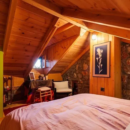 Stone Forest Escape - Cozy Cinema & Starry Sky Artemisía