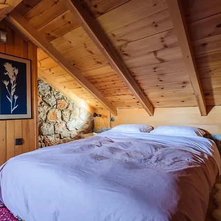 Stone Forest Escape - Cozy Cinema & Starry Sky Σαλέ