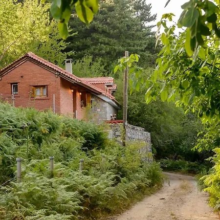 Pine Forest 1400m, Cinema & Fireplace *