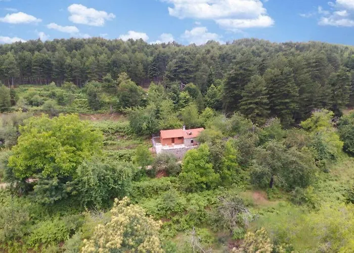 Stone Forest Escape - Cozy Cinema & Starry Sky * Artemisía