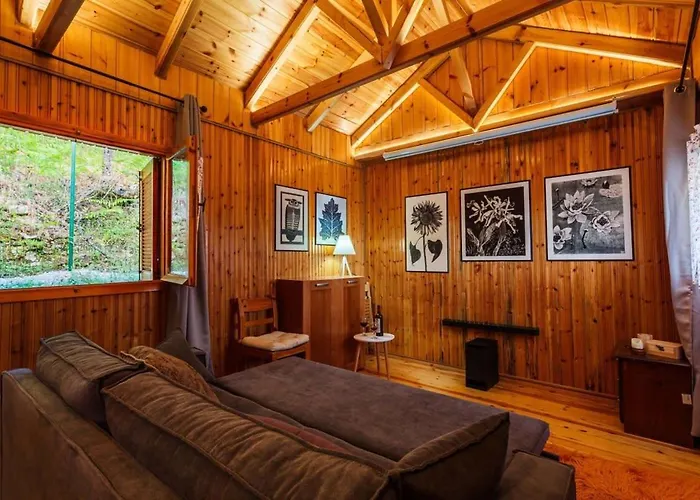 Stone Forest Escape - Cozy Cinema & Starry Sky *