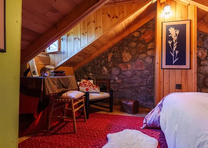 Stone Forest Escape - Cozy Cinema & Starry Sky *