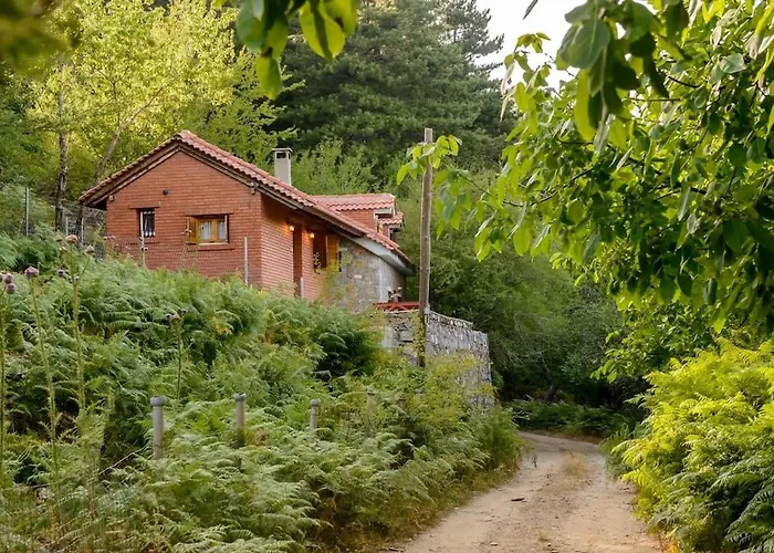 Stone Forest Escape - Cozy Cinema & Starry Sky *